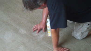 Fort Myers carpet cleaners