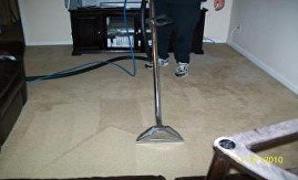 carpet cleaning fort myers